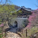 백화사 | 북한산 청수동암문으로 올라가다