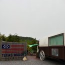 봄 여행_ 여수 자매로 카라반 캠핑장
