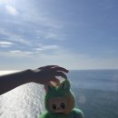 남부카서비스 | [푸꾸옥 3일차] 케이블카부터 불꽃쇼까지, 푸꾸옥 남부투어 솔직 후기