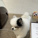 (주)삼 디앤씨