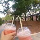 베리베리(Very_Berry)
