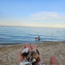 그란데마레 이미지