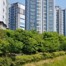 성사천어린이공원 이미지