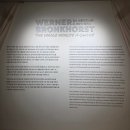 워너짐 수영구 | 서울 2월 전시 추천 [워너 브롱크호스트:온 세상이 캔버스] 그라운드시소서촌 데이트