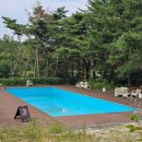 포항수영장 화장실 이미지