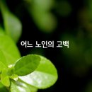 어느 노인의 고백 / 글 이해인 수녀님 이미지