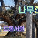 도동농장 이미지