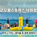 운정스포츠센터 축구장 맞은편 | 파주 코오롱스포렉스 낙하점 수영장 가격 준비물