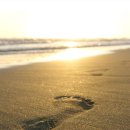 일 페이지 | [솔직후기] 상세페이지 부업, 돈 되는 일일까? NFM 강의 후기와 실행 팁까지!