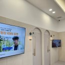 닥터펫동물의료센터 | [아무튼, 모래 아파요ㅠ] 내돈내산 개금 닥터펫