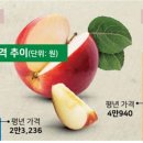 금과유통 한국일보
