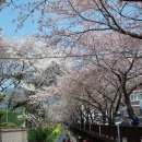 하나화원 - 예산군 역전로 109-32 | 하나화원