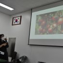 네이버 스마트스토어 쇼핑몰 운영 과정 이미지