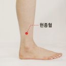 ■■■■■ 시천주주(侍天主呪, magic word) 12혈(穴) 지압 21배(拜) 수련 이미지