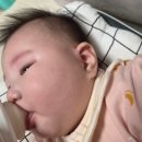 다안에팩 | 6개월 시아가 정착한 순한아기로션, 주다안 바다장벽로션