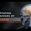 Precipitating mechanism of migraine 이미지