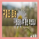 내 몸을 살리는 약초이야기 & 약선음식 | 구절초 효능, 생리통 심할 때 2주간 마셔본 후기