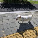 몽이네컷 이미지