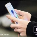 사담 Daum카페