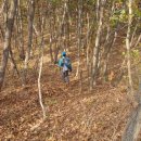 곰바위산 895m 경북 포항 이미지