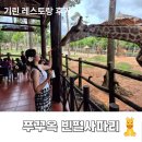 북부복지타운경로식당 | [베트남] 푸꾸옥 빈펄사파리 기린 식당 먹이주기 체험 후기, 사파리 제대로 즐기는 꿀팁 총정리