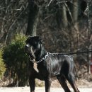 몽키모터스 이미지