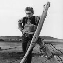 조수목장 이미지