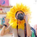 해바라기문고 이미지