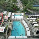 패밀리 치킨 이미지