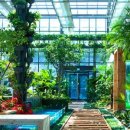 미리내사우나 이미지