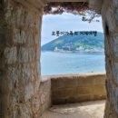 매미와 함께하는 여름여행 이미지