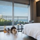 스테이펫_호텔 이미지