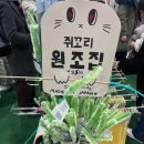 캣 소사이어티 | 냥집사라면 꼭 가야 하는 2025 냥냥펀치캣쇼(마곡 코엑스) 방문 후기 | 이벤트, 보관함, 꿀팁