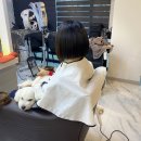 엠더블유헤어 이미지