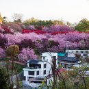 전주 완산공원 이미지