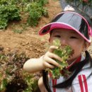 다영농장 이미지