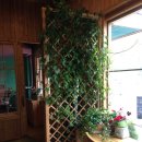 수원-0503 이미지