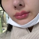 (야간)뜨개질 기초 | Dec.2024- 아쉬움일까 후회일까? Good bye my 2024!