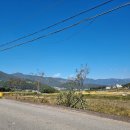 드로잉공인중개사사무소 이미지