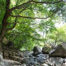 기장임랑썸머뮤직페스티벌 티스토리