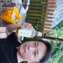 스테이 꿈의대화 이미지