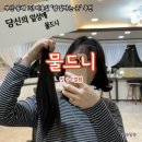 [부산 동래] 물드니 :: 1인 미용실 단발 C컬펌 &amp; 머리카락 기부 후기