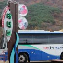 배내골사과정보화마을 | 양산 배내골사과정보화마을에서 사과따기 체험하고 왔어요