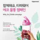 타파웨어(베스트) 이미지