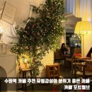 포트웰브(FOUR TWELVE) | 수원역 카페 유럽 감성의 분위기 좋은 카페 추천 포트웰브
