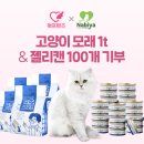 펫프렌즈 이미지