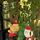 오클라 캠핑장 | 🍝 비스트로 오클라 :: 김포 구래동 분위기 좋은 레스토랑, 소개팅장소/데이트장소/단체모임장소 추천