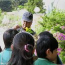 청평초등학교 이미지