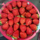 단짠 하우스