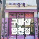 구피샵 영천점 네이버블로그
